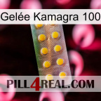 Gelée Kamagra 100 new11